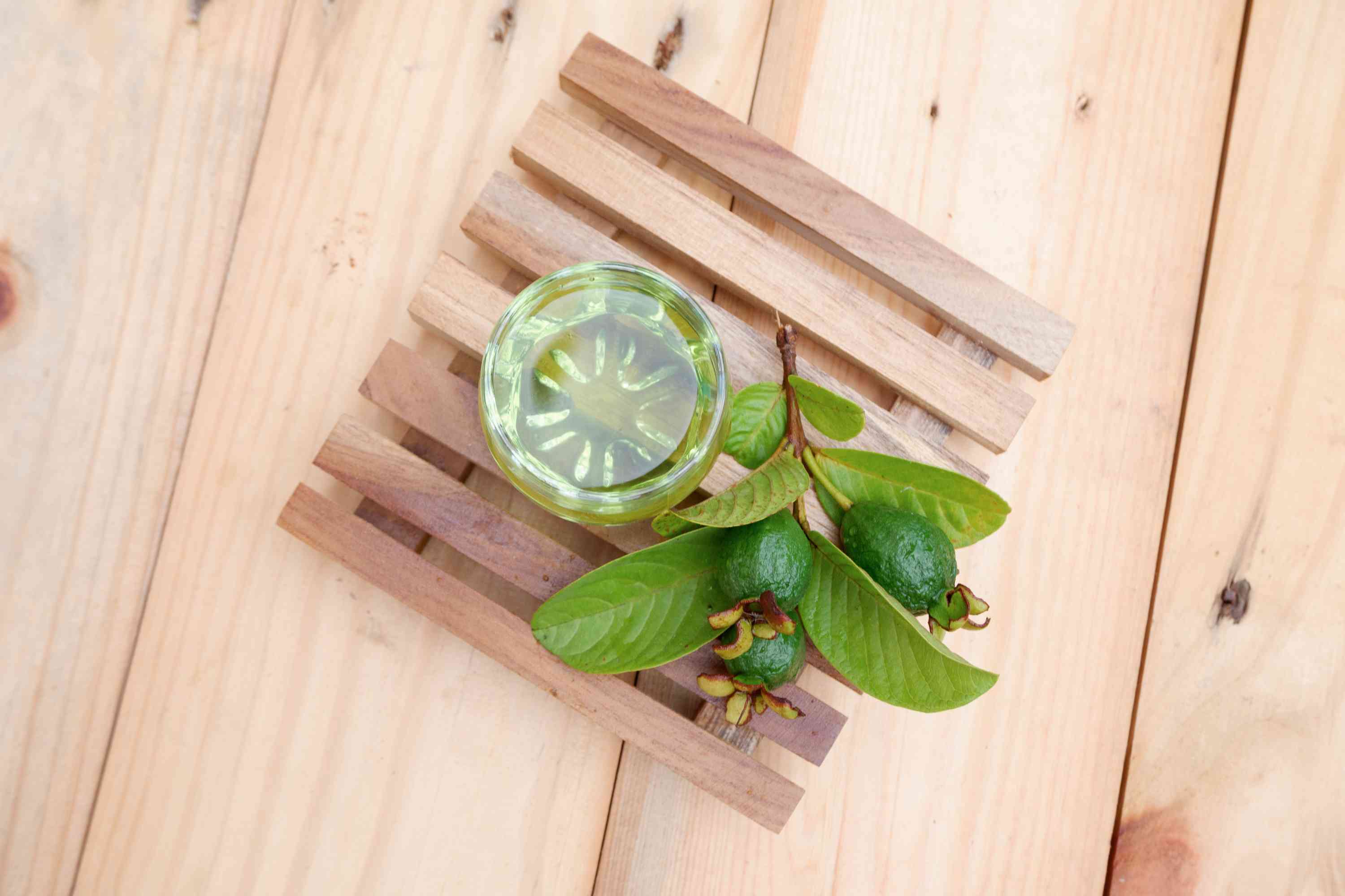 Guava Leaf Tea Wholesale Manufacturer & Supplier in India